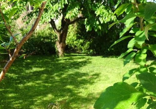 Garten_1