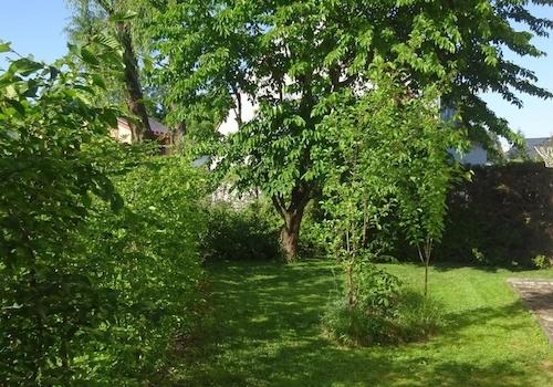 Garten_2