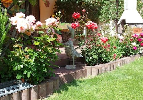 Garten im Sommer