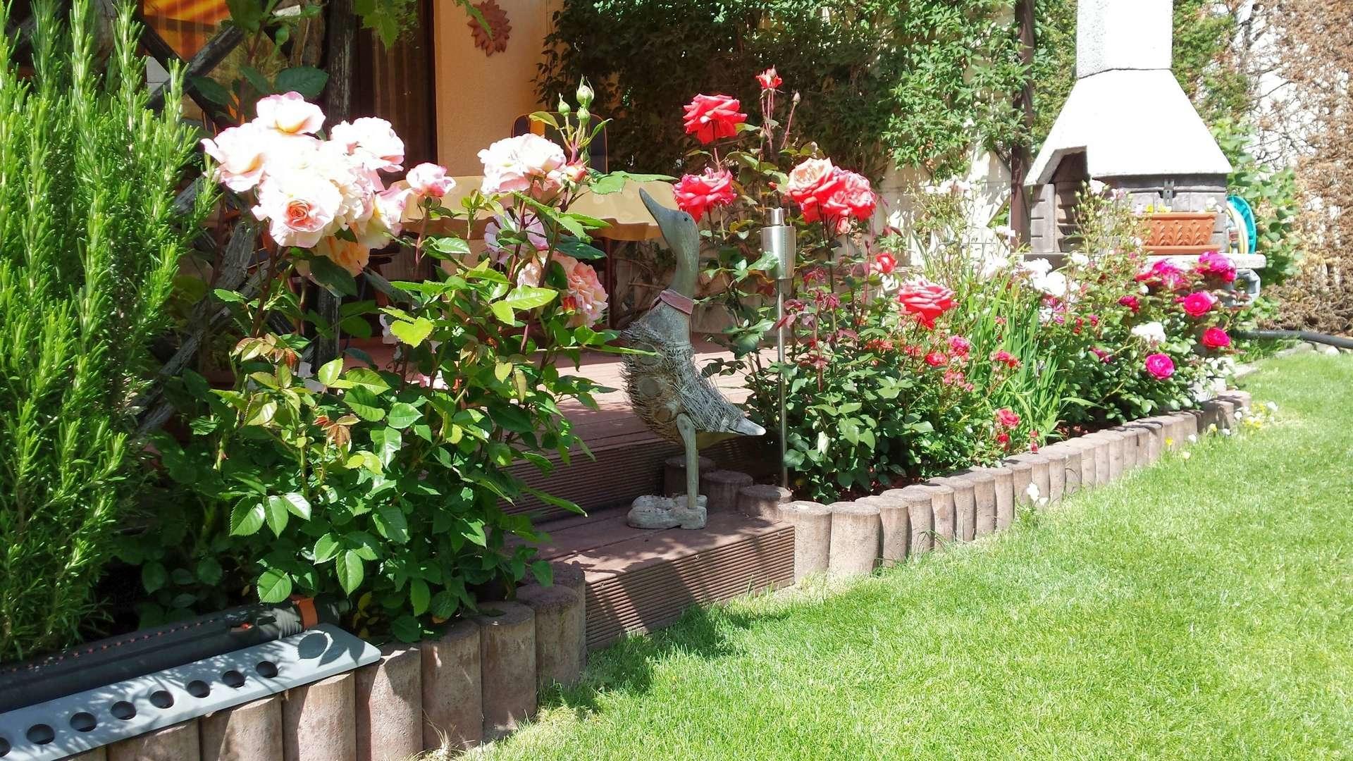 Garten im Sommer