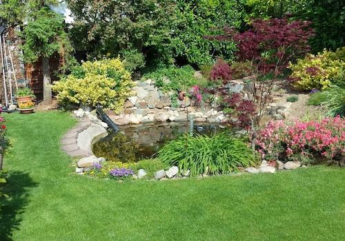 Garten im Sommer
