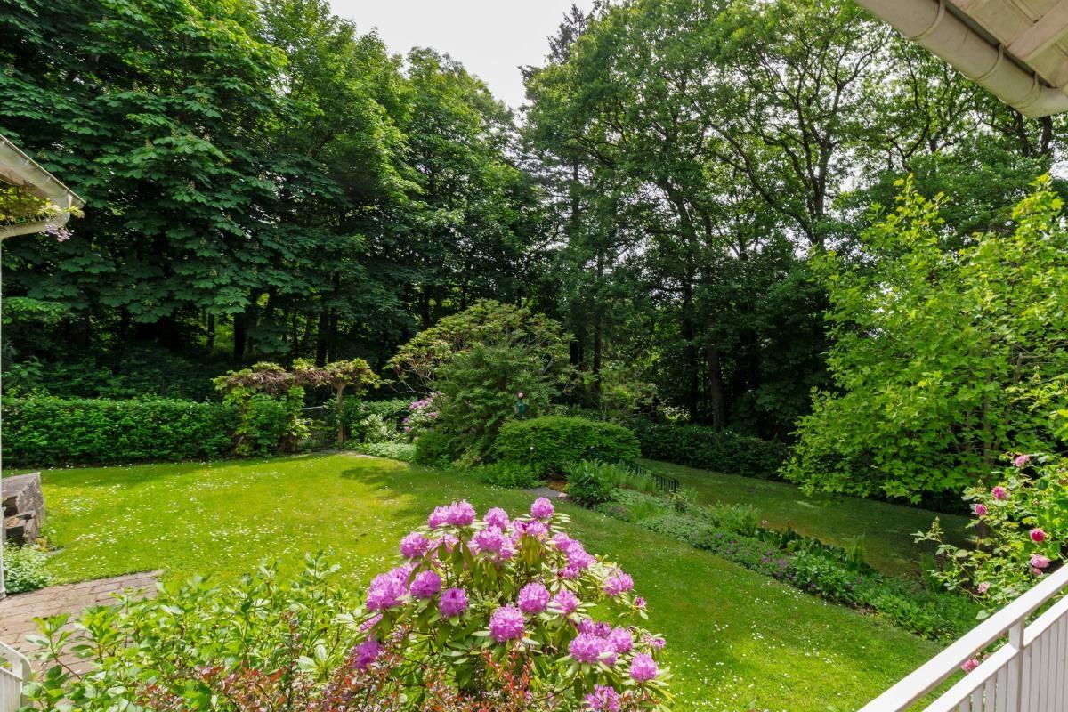 Garten 1