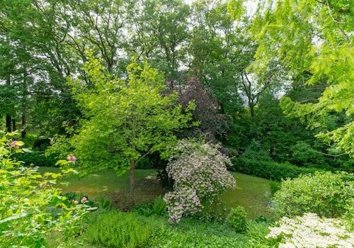 Garten 2