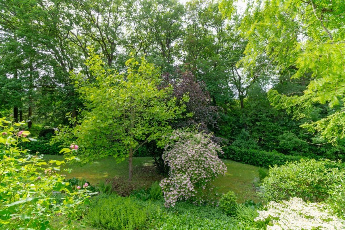 Garten 2