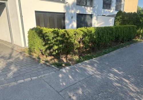 Süd west    Gartenseite