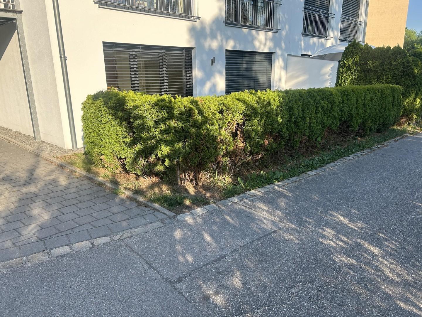 Süd west    Gartenseite