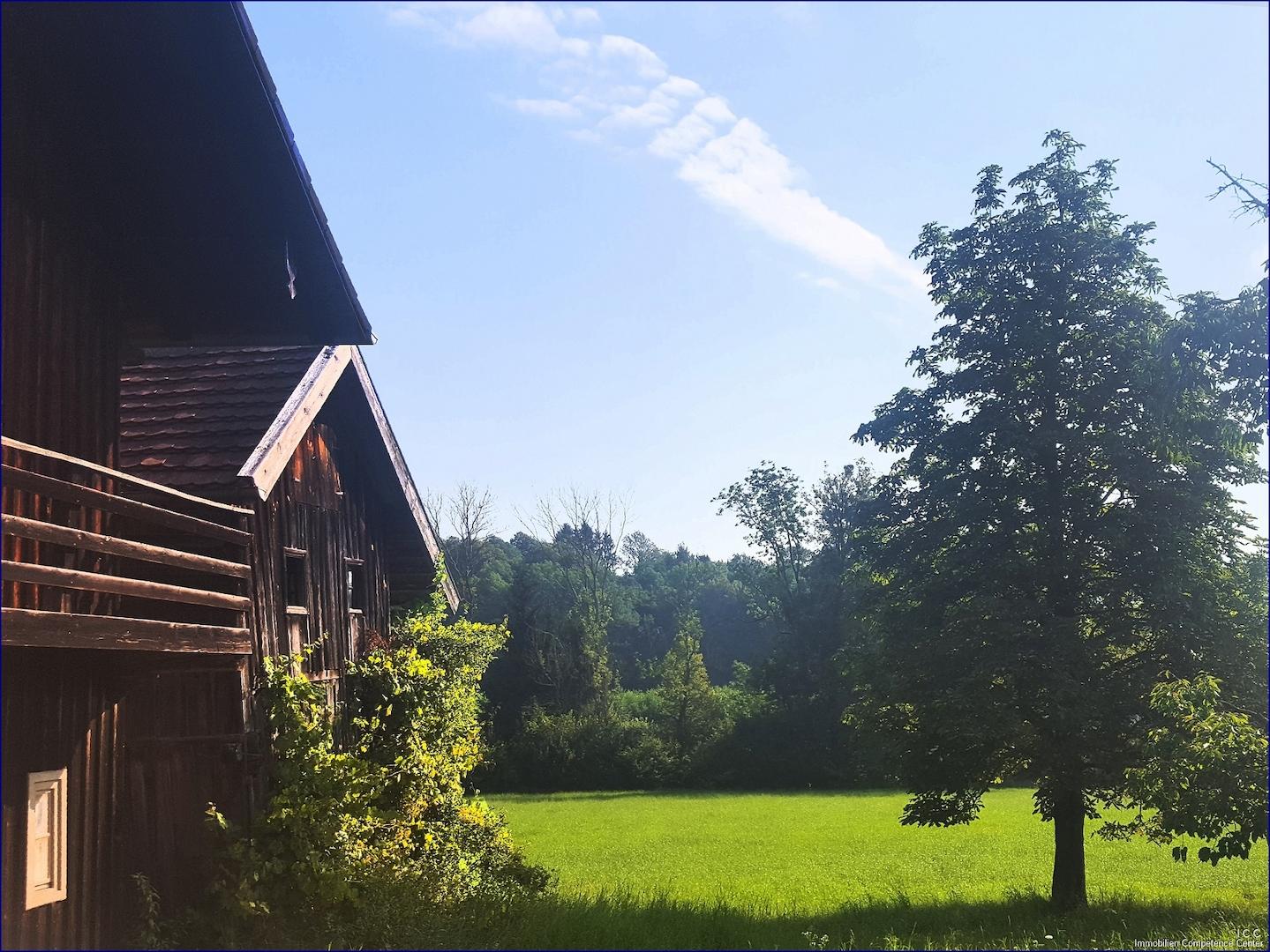 Das Haus mit einer märchenhaften Aussicht auf Wiesen und Wälder