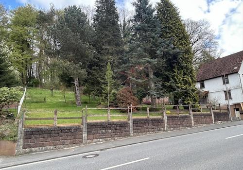 Großzügiges Grundstück - Potenzieller Bauplatz