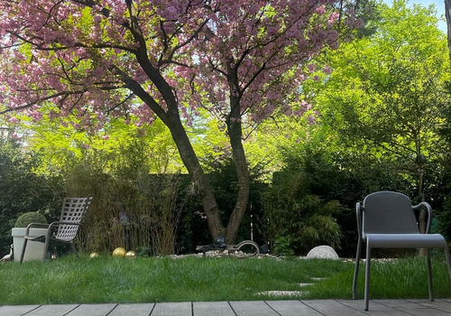 Garten mit Kirschbaum