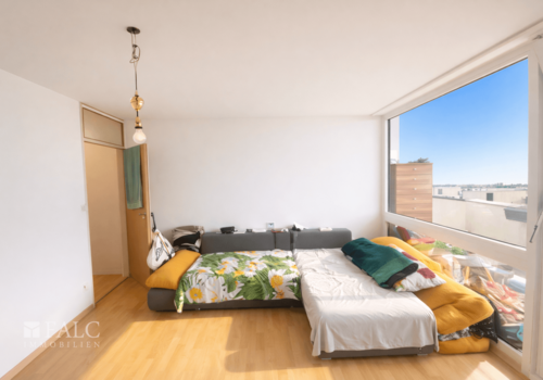 Wohn- und Schlafzimmer