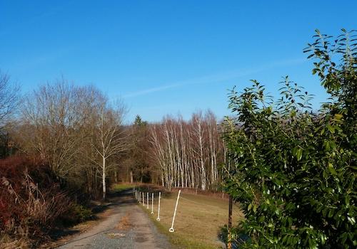 Wanderweg direkt am Haus