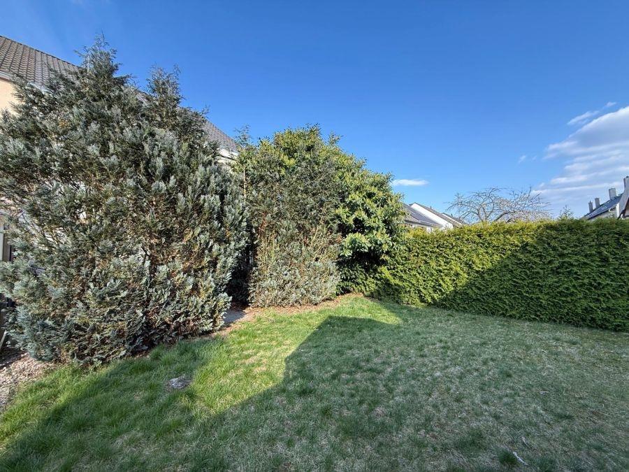 Garten 1