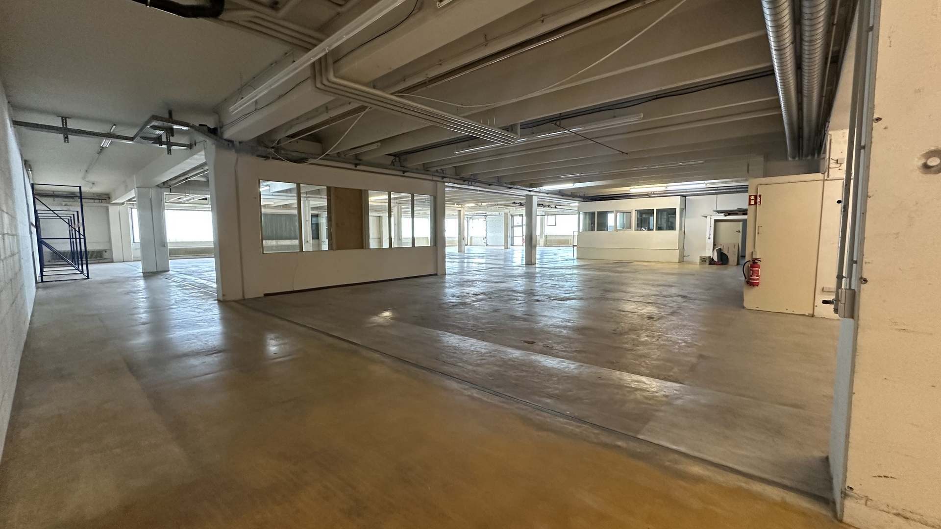 Hallenfläche EG
