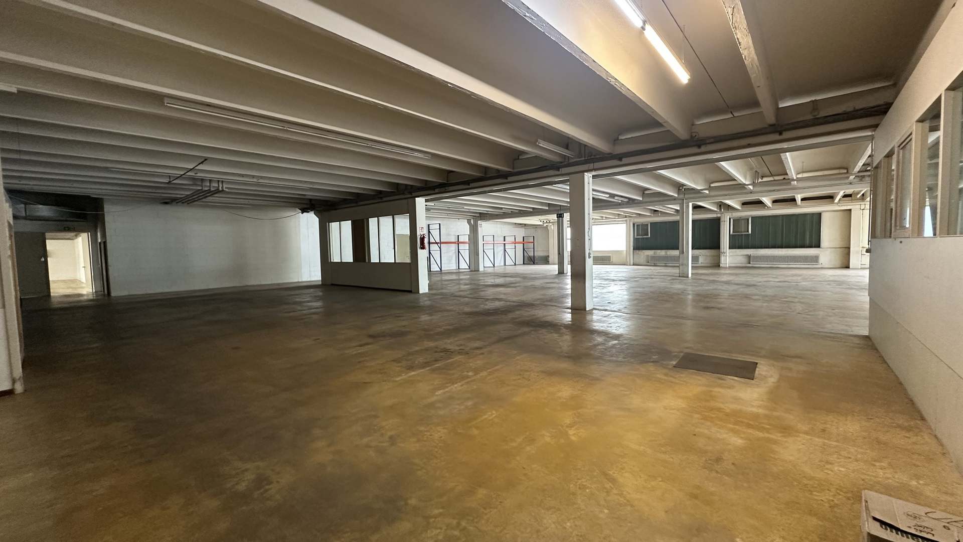 Hallenfläche EG