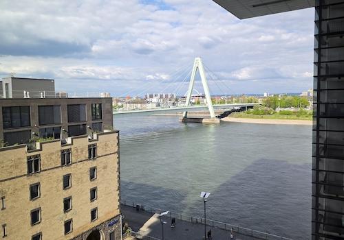 Blick zum Rhein