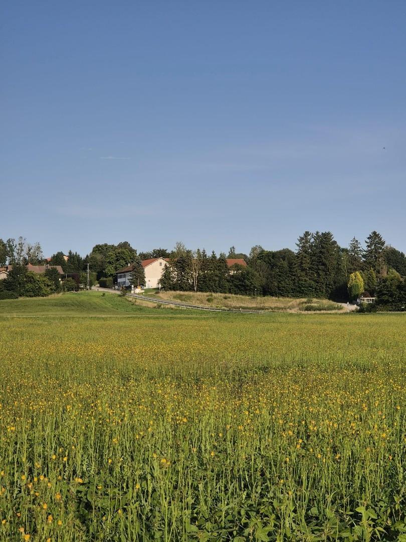Weitansicht Osten