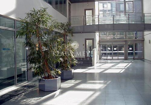 Atrium