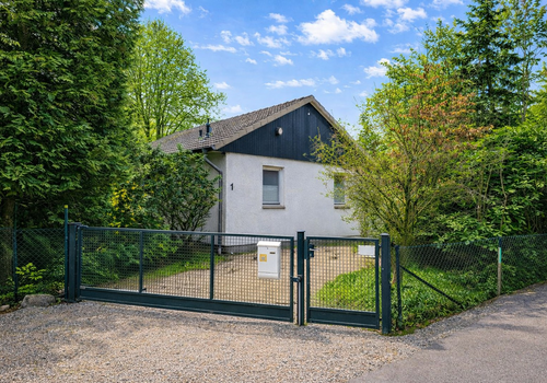 Straßenansicht mit elektr. Tor