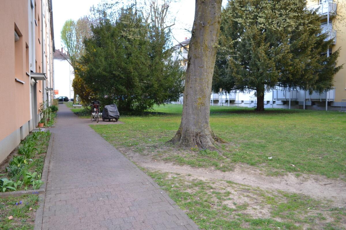 DSC_0100