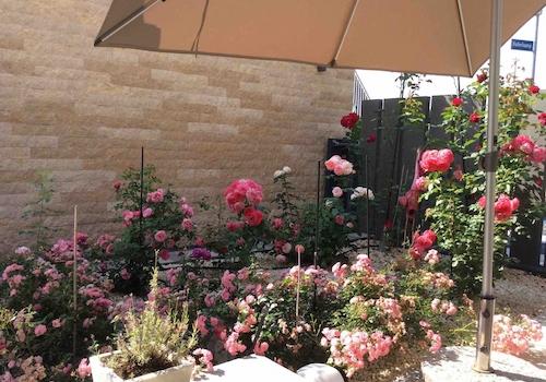 Gartenansicht (1)