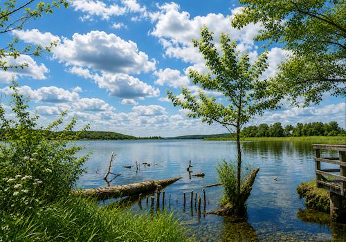 direkt am Tollensesee