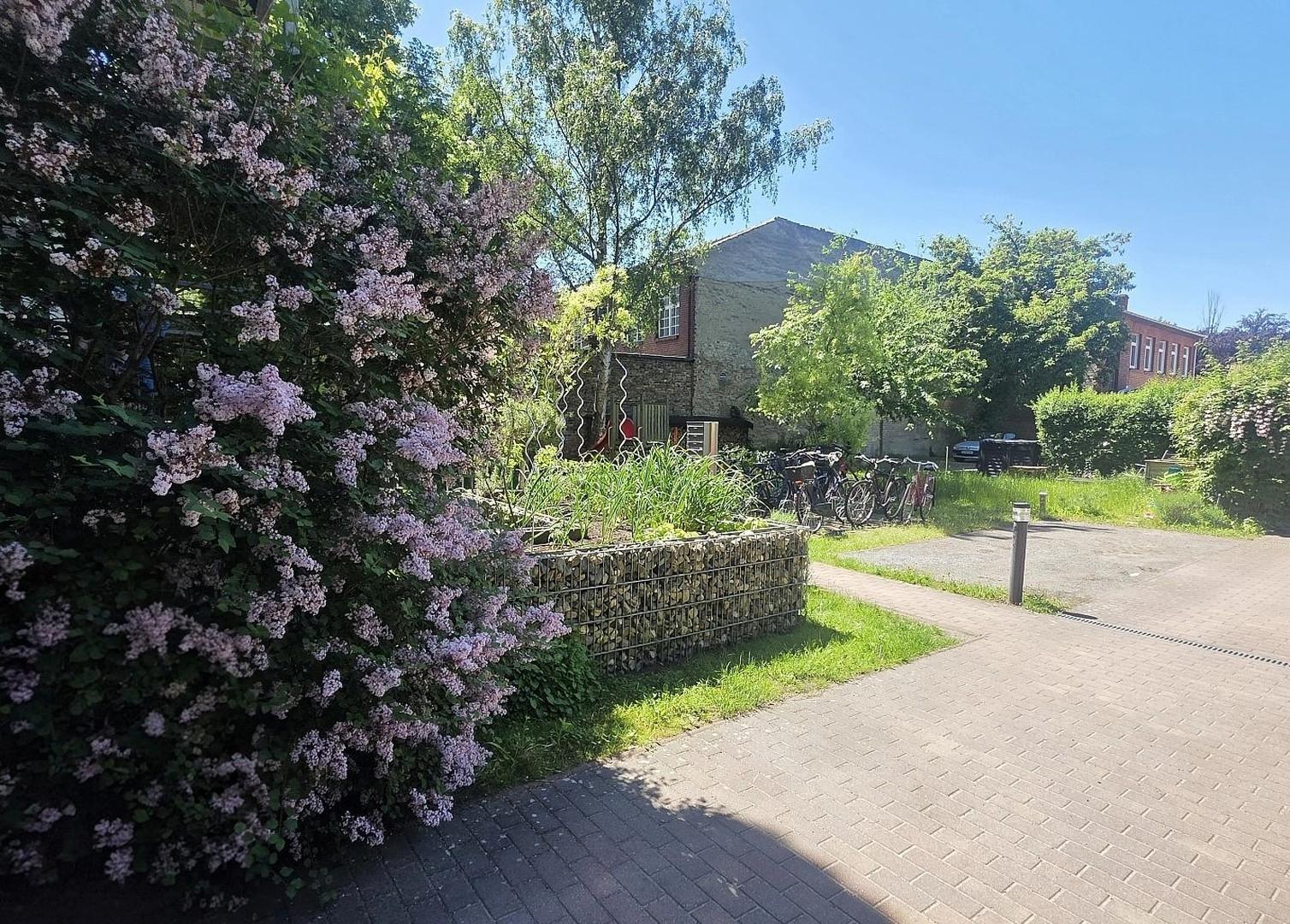 Garten/Hinterhof