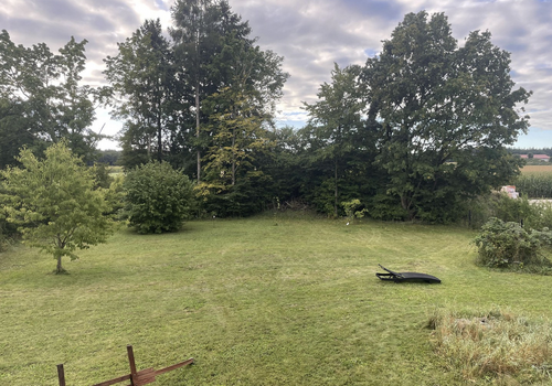 Baugrund Sommer