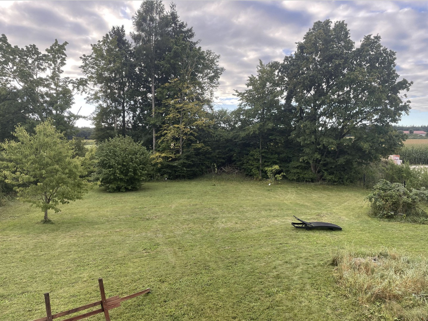 Baugrund Sommer