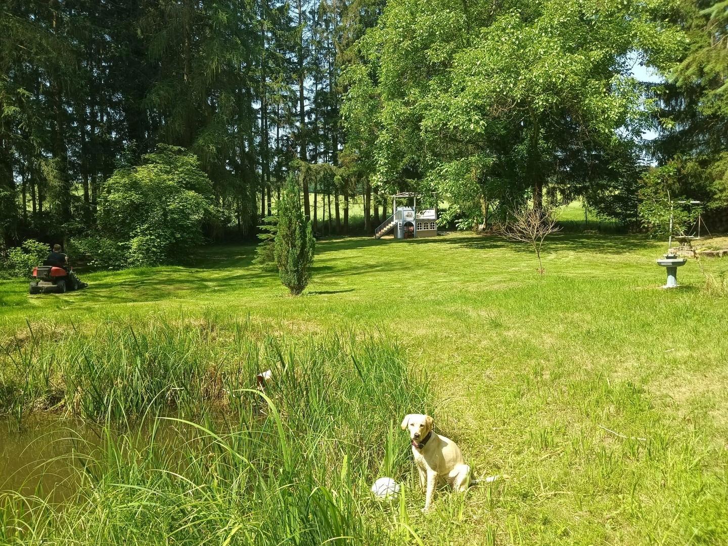 Waldgrundstück 