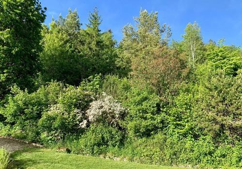 Lage am Wald