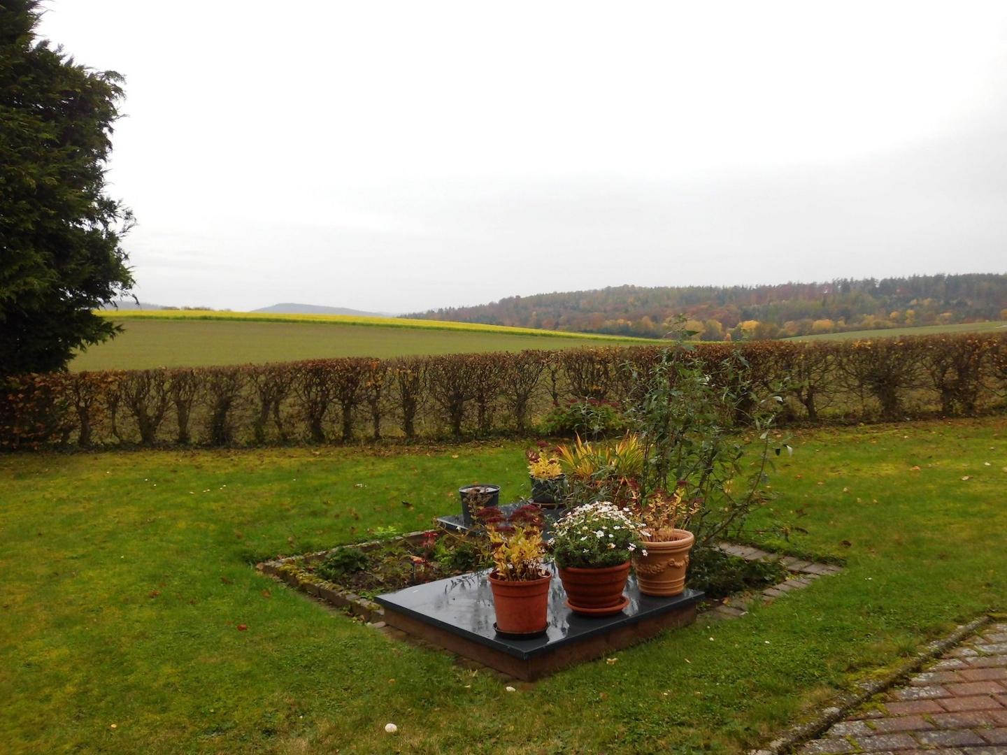 Blick in den Garten