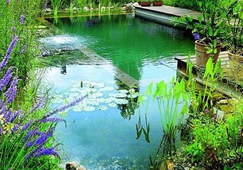 Beispiel Pool...