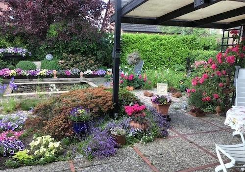 Garten im Sommer