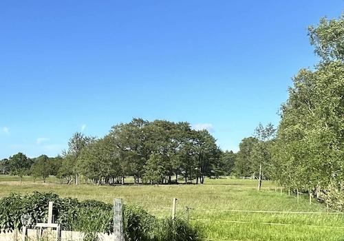 Traumhafter Ausblick