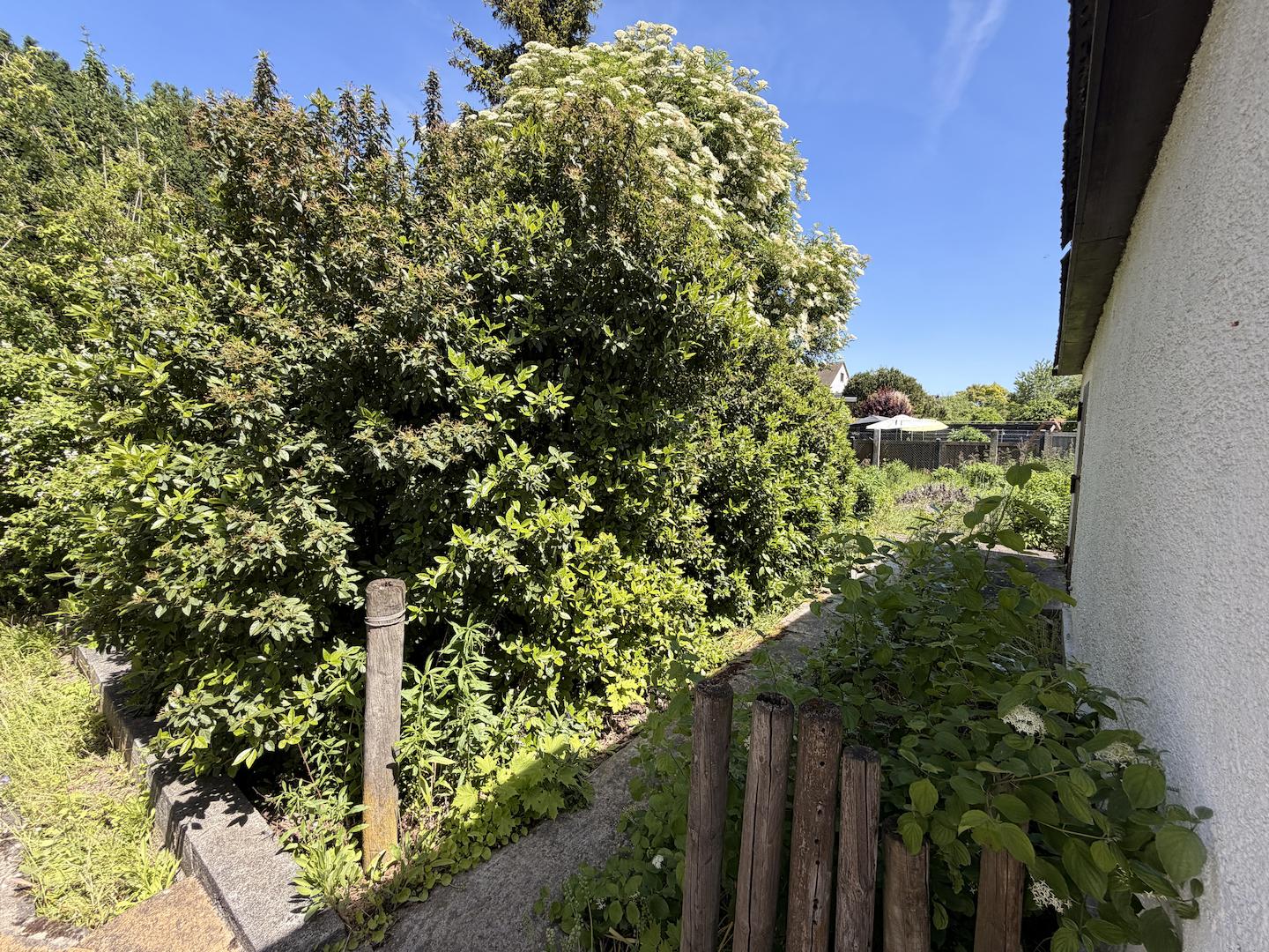 Garten neben Garage