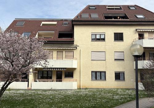 Rückseite Haus