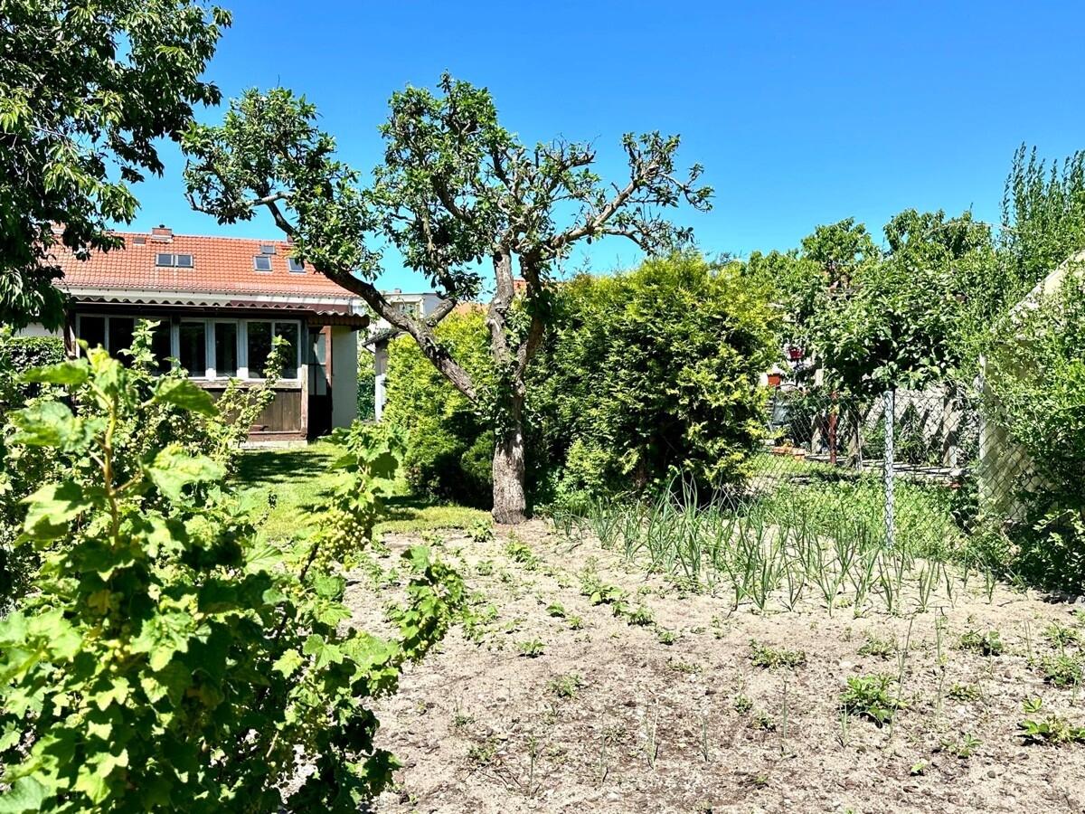 Gemüsegarten
