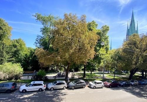 Blick Richtung Park