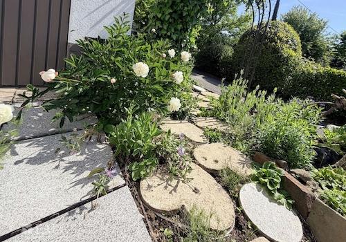Garten