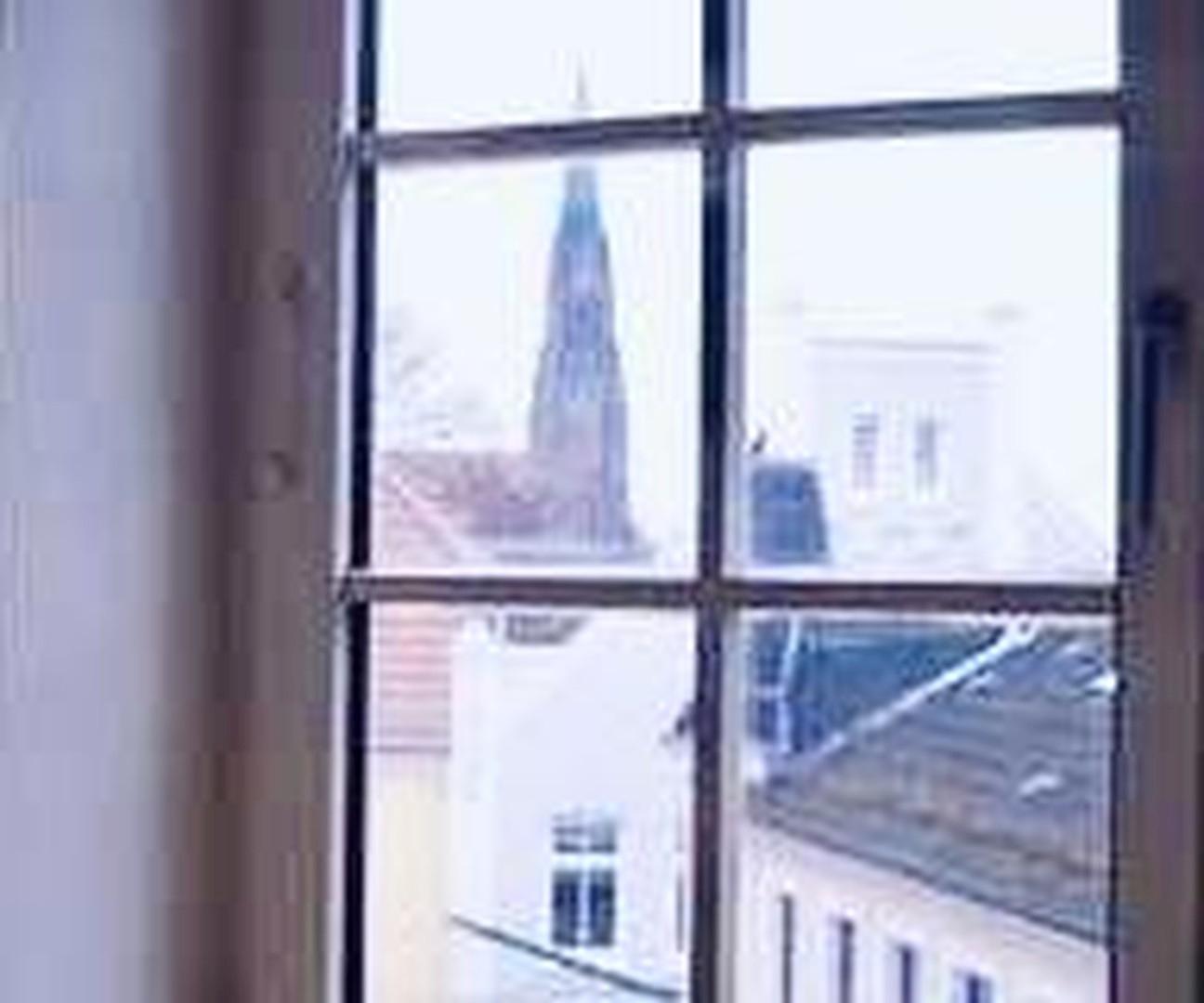 Domblick