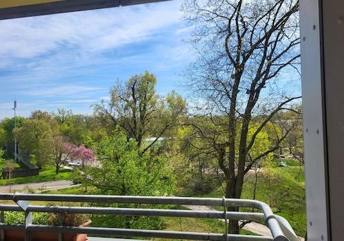 Ausblick