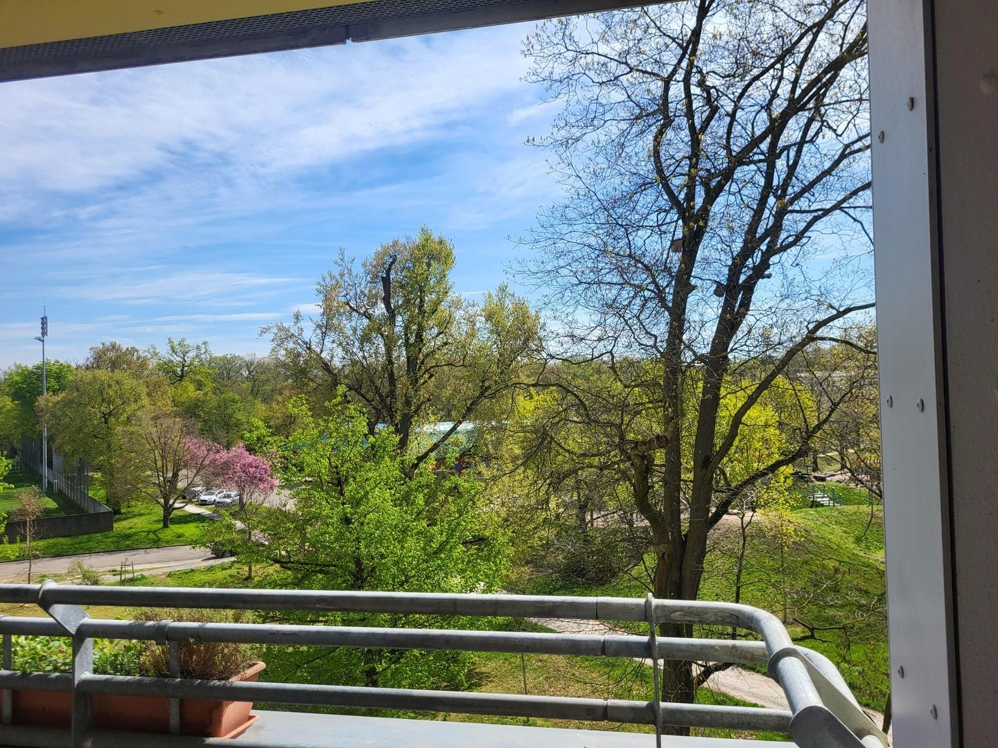 Ausblick