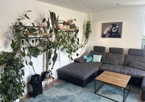 Wohnzimmer 2