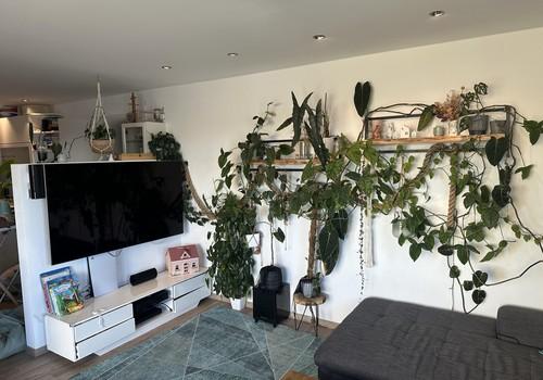 Wohnzimmer 3