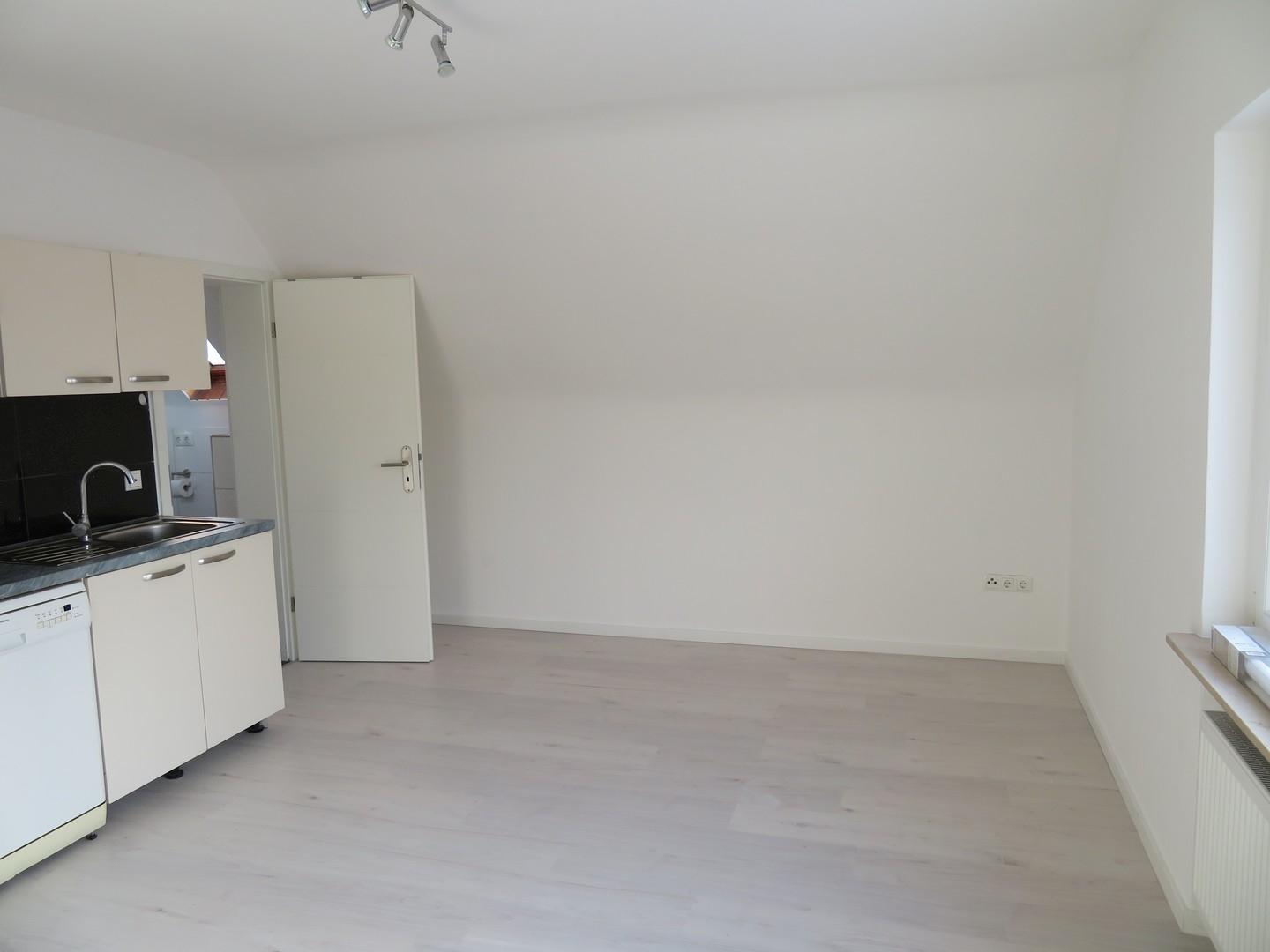 Wohnraum/Küche 1