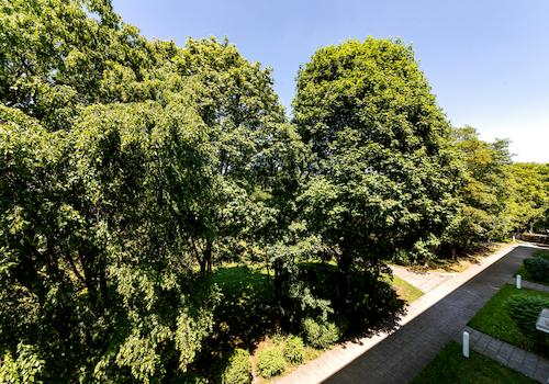 Ausblick vom Balkon