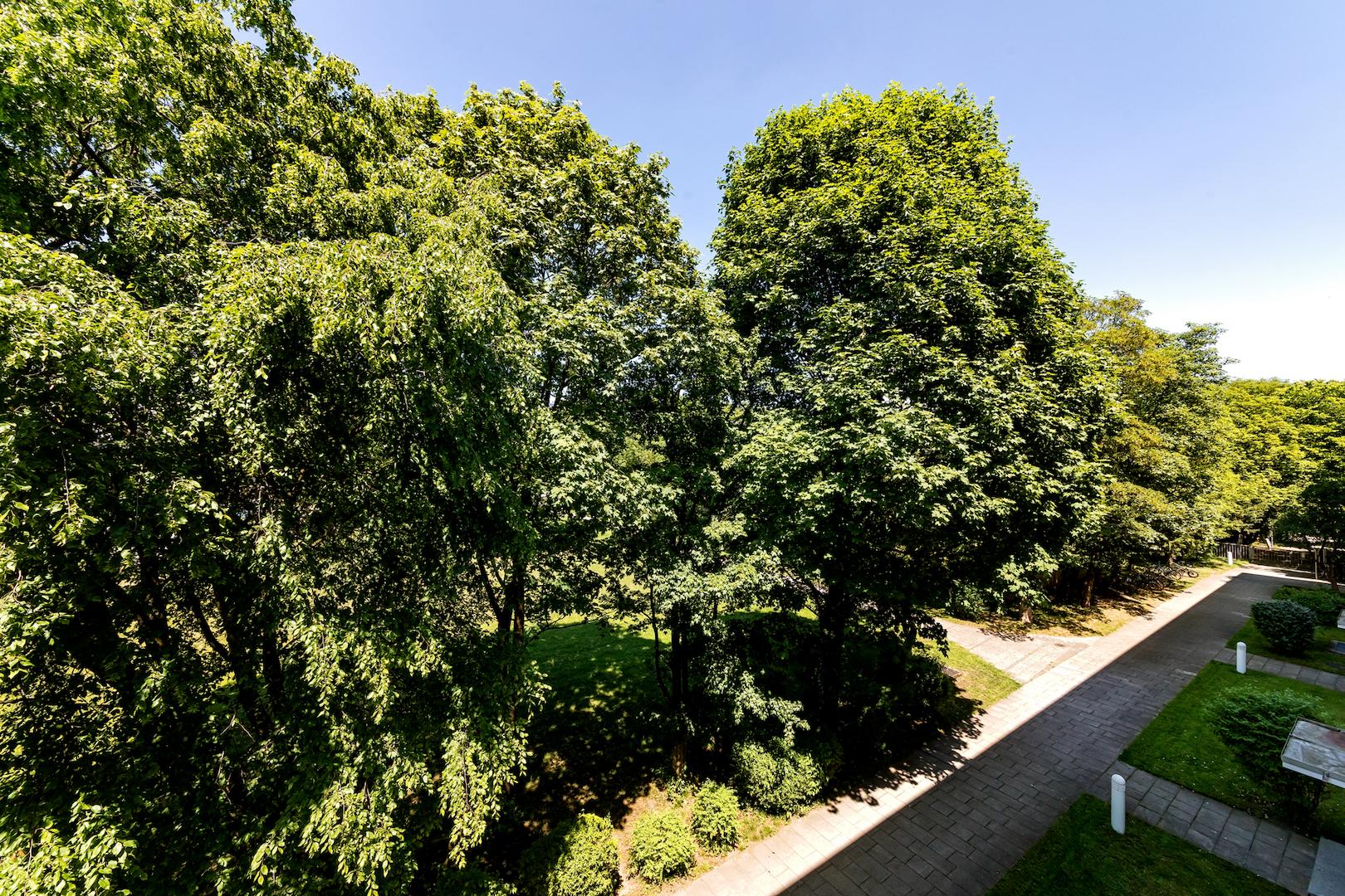 Ausblick vom Balkon