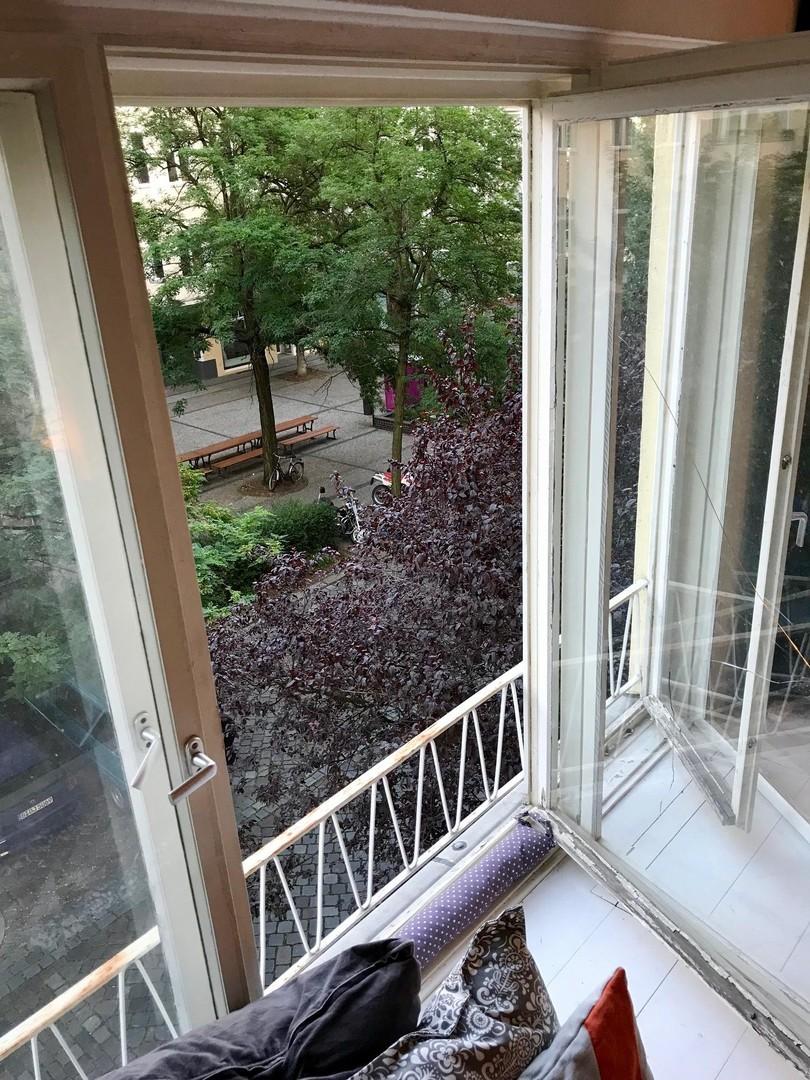 Fenster Ausblick kl.Park 