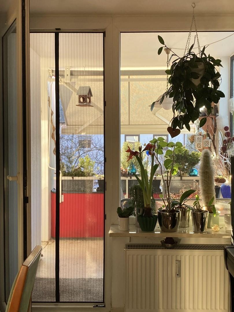 Wohnzimmer Zugang Balkon