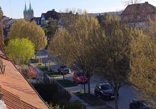 Blick zum Dom